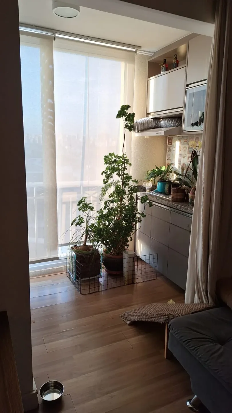 Apartamento à venda, Água Branca, São Paulo, SP - Foto 7